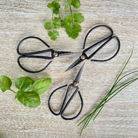 Cuts with precision, these herb garden scissors make it easier to snip and prepare the herbs grown in your garden. Eco Fox Ltd.